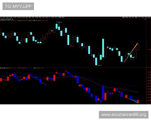 掘金篮板保护能力持续走强盘口利好趋势不断增强解析深度前景展望