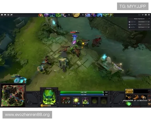 从观赛到实战的Dota2国际赛新手进阶风险控制实用指南