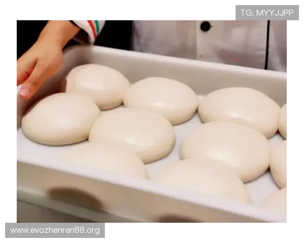 新葡京周边热门景点美食娱乐全攻略尽享澳门魅力体验