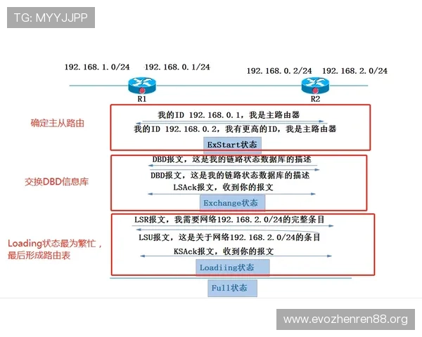 1xbet中文官网全面解析及最新优惠活动详解指南