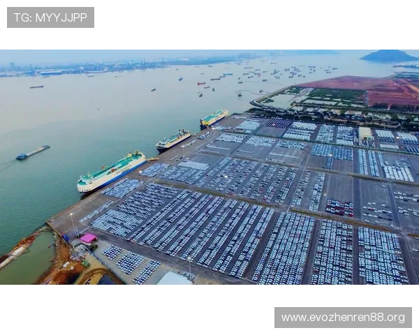 LV国际引领全球商业合作新趋势打造跨境资源整合发展高地 LV国际引领全球商业合作新趋势打造跨境资源整合发展高地